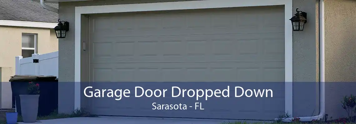 Garage Door Dropped Down Sarasota - FL