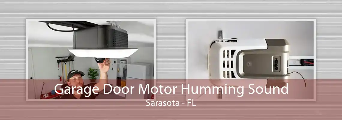 Garage Door Motor Humming Sound Sarasota - FL