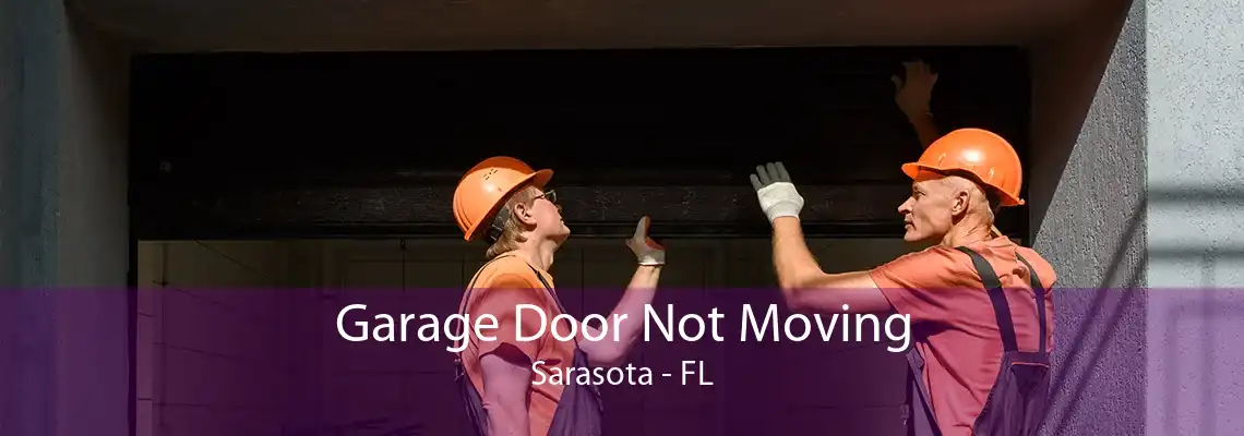 Garage Door Not Moving Sarasota - FL