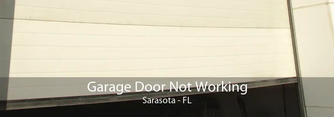 Garage Door Not Working Sarasota - FL