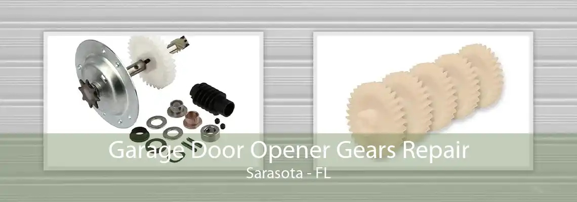 Garage Door Opener Gears Repair Sarasota - FL