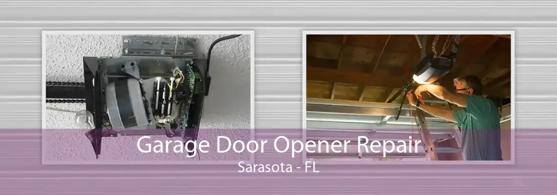 Garage Door Opener Repair Sarasota - FL