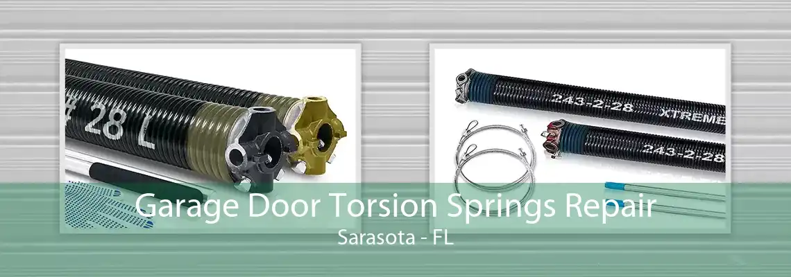 Garage Door Torsion Springs Repair Sarasota - FL