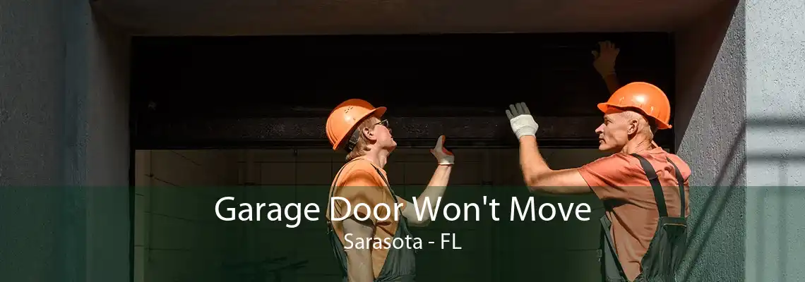 Garage Door Won't Move Sarasota - FL